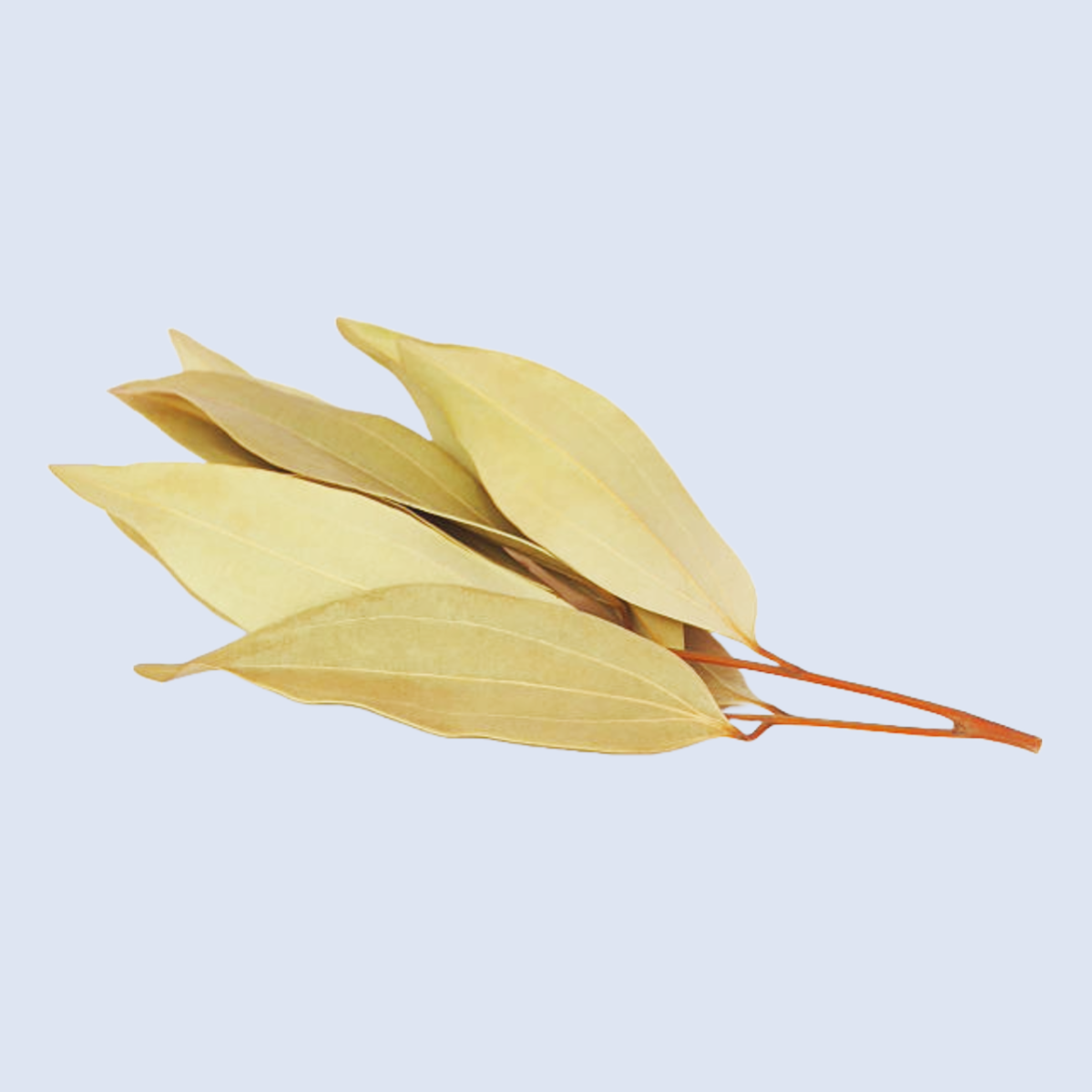 Biryani Leaves/Bay Leaves