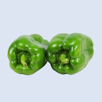 Capsicum