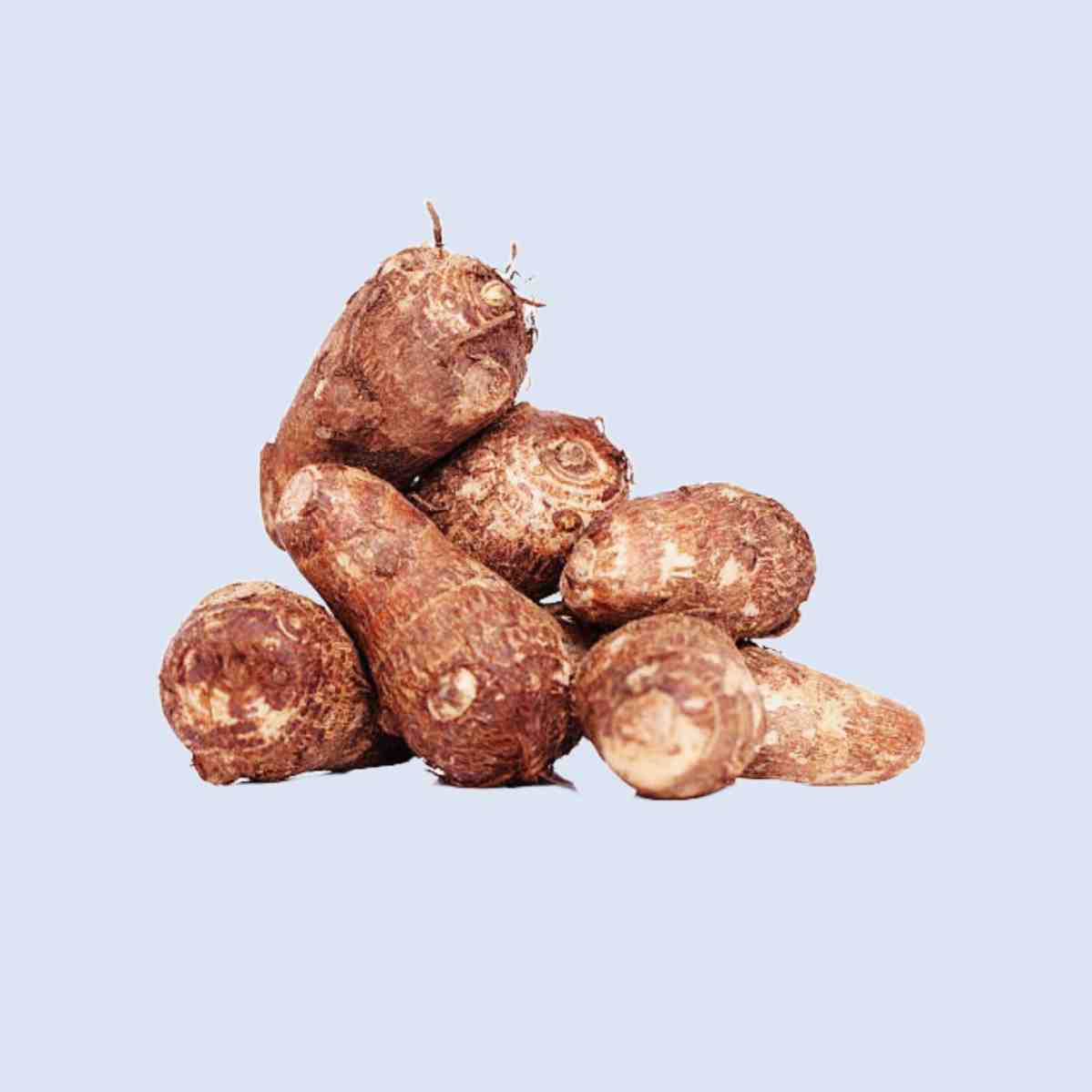 Chama Gadda/Colocasia