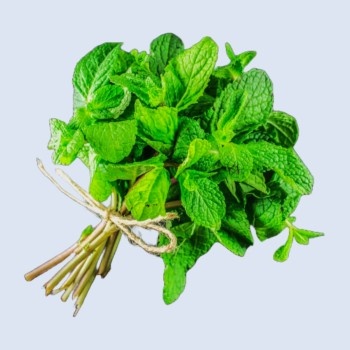 Pudina/Mint (200g - 300g)